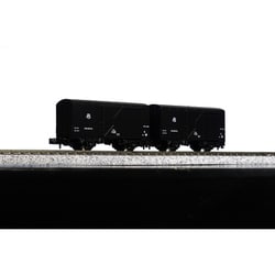 8070 Nゲージ 完成品 テム300 2両入 [鉄道模型]