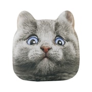 Animal Face Mobile Battery BLUE EYESモバイルバッテリーBL 5220001BL