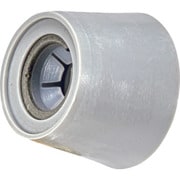 TSP-V2-30 [Pコン穴埋スピードコン（スピードコン100個入・ブチルシール1本付）W3/8用]