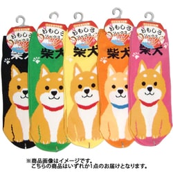 LO9286 [おもしろソックス 柴犬 22～25cm 1足]