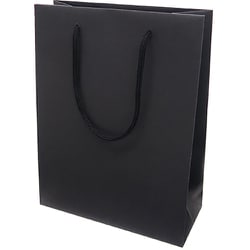 キャリーバッグM BK PC248