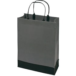 キャリーバッグS GY/BK PC097