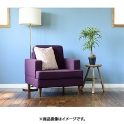 フェイクグリーン FG-DRCN70