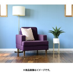 フェイクグリーン FG-YUC55