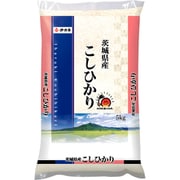 精米 茨城県産 コシヒカリ 5kg 令和6年産