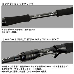 daiwa ダイワ　saltist ソルティスト　84mb SALTIST（ソルティスト）｜DAIWA