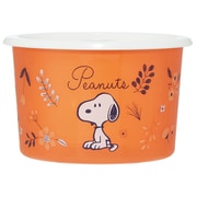 SOT6 [SNOOPY ワンタッチシール容器 S 600ml]