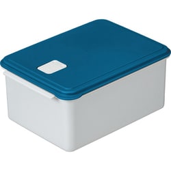 電子レンジ スチーム保存容器 L ブルー UDY2ST