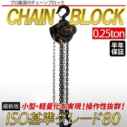 diy-055 [手動式チェーンブロック 0.25t 揚程2.5m グレード80 lh-vd025 軽量 小型 VD レバーホイスト ブラック]