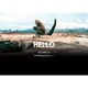 ゴジラ グリーティングカード 49 HELLO [キャラクターグッズ]
