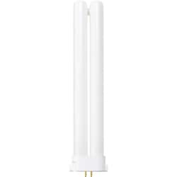 コンパクト形蛍光灯 36W 昼白色 FPL36EXN-TM