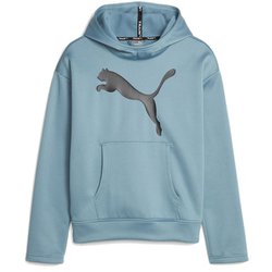 ヨドバシ.com - プーマ PUMA FAVORITE PWR FLEECE フーディー 522860