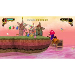Amazon.co.jp: PS5版 Rainbow Cotton (レインボーコットン) 通常