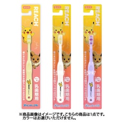 リーチ キッズ ポケモン 乳歯期用 ふつう