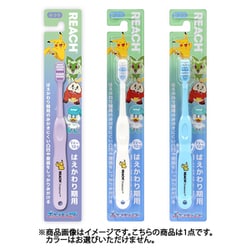 リーチ キッズ ポケモン はえかわり期用