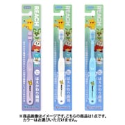 リーチ キッズ ポケモン はえかわり期用