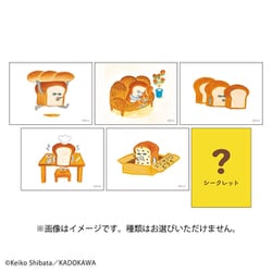P1-MC001 パンどろぼう ミニキャンバスコレクション vol.1 1個 [コレクショントイ]