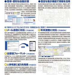 ヨドバシ.com - ビーエスエルシステム研究所 給料らくだプロ24 通販