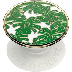 806140 [Enamel Monstera]