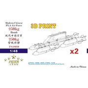 FSM48010 1/48 中国人民解放軍空軍 250kg爆弾 w/パイロン 2セット [プラモデル用パーツ]