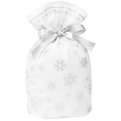 シャイニースノーバッグ S ホワイト/シルバー 76-901