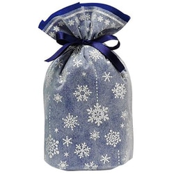 シャイニースノーバッグ S ブルー/シルバー 76-903