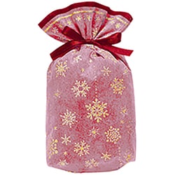 シャイニースノーバッグ S レッド/ゴールド 76-904