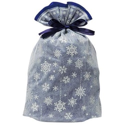 シャイニースノーバッグ M ブルー/シルバー 76-907