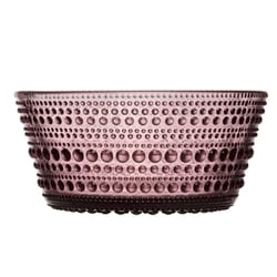 カステヘルミ ボウル 皿 230ml カルーナ 国内正規品 1070203