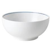 ブルーライン ボウル 皿 約21cm 国内正規品 1068622