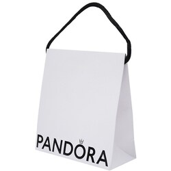 ヨドバシ.com - PANDORA モーメンツ スネーク チェーン