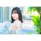 CL-810 [2024年 カレンダー 卓上 福岡聖菜（AKB48）]