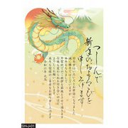 限定 2024年 お年玉付き年賀はがき 年賀状じまいパック 01 4枚入 SH-J-01