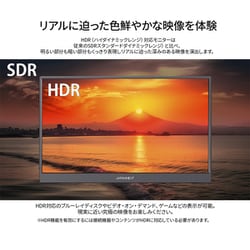 ジャパンネクスト モバイルモニター 17.3型 JAPANNEXT モバイルモニター USB TypeC miniHDMI［17.3型 /フル