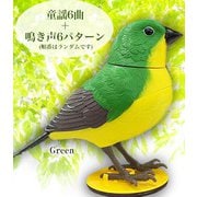 センサーミュージックバード GR
