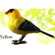 センサーミュージックバード YE