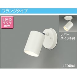 LEDスポットライト（ランプ別売） LEDS88009F