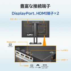 ヨドバシ.com - アイ・オー・データ機器 I-O DATA LCD-D241SD-F [23.8