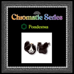 国内正規店 Campfire Audio Ponderosa CAM-5966 ヨドバシ.com - Campfire Audio キャンプファイヤーオーディオ