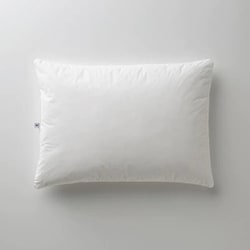 ウレタンチップ 素材で選べる枕 RTHL L
