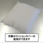 SOFAM [ソファで使うリビングの枕 45×45]