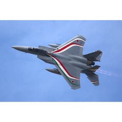 AC-83 1/72 航空自衛隊 F-15J イーグル 第306飛行隊 日伊共同訓練 2023 特別塗装機 [組立式プラスチックモデル]