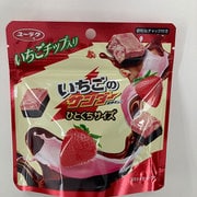 いちごのサンダー ひとくちサイズパウチ 42g