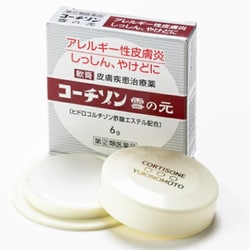 コーチゾン雪の元 6g [指定第2類医薬品 皮膚用治療薬 ※セルフメディケーション税制対象商品]