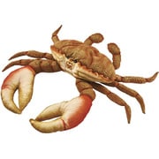 No.6312 ぬいぐるみ CRAB / カニ オレンジ 35 [キャラクターグッズ]