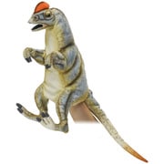 No.7754 ぬいぐるみ HAND PUPPET DILOPHOSAURUS / ハンドパペット ディロフォサウルス 50 [キャラクターグッズ]