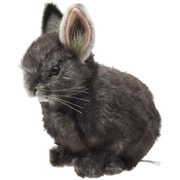 No.8129 ぬいぐるみ PYGMY RABBIT / ピグミーラビット 18 [キャラクターグッズ]