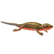 No.8141 ぬいぐるみ JAPANESE FIRE BELLY NEWT / アカハライモリ 23 [キャラクターグッズ]