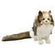 No.8154 ぬいぐるみ NORWEGIAN FOREST CAT / ノルウェージャンフォレストキャット 35 [キャラクターグッズ]