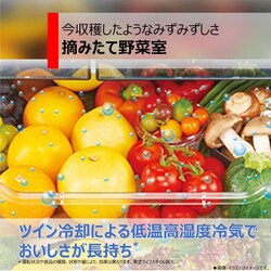 ヨドバシ.com - 東芝 TOSHIBA 冷蔵庫 VEGETA(ベジータ) FK ヨドバシ.com - 東芝 TOSHIBA 冷蔵庫 VEGETA(ベジータ) FK